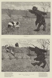 Does Make Cowards of Us All